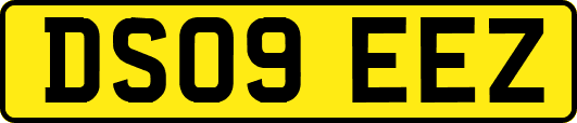 DS09EEZ
