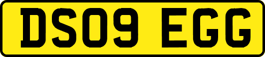 DS09EGG