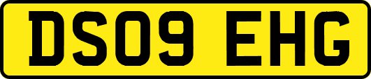 DS09EHG