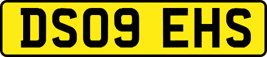 DS09EHS