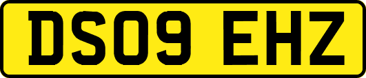 DS09EHZ