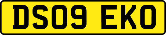 DS09EKO