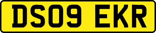 DS09EKR