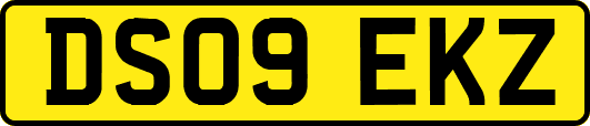 DS09EKZ