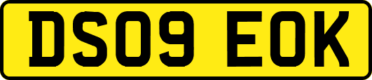 DS09EOK