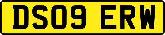 DS09ERW