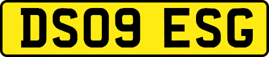 DS09ESG