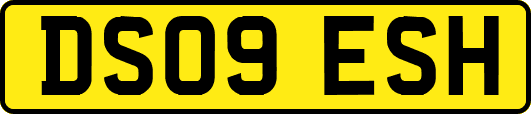 DS09ESH