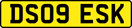 DS09ESK