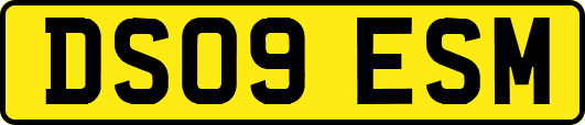 DS09ESM