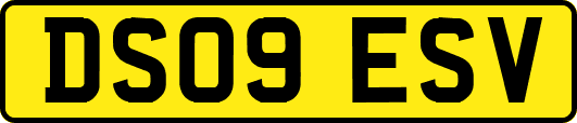 DS09ESV
