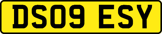 DS09ESY