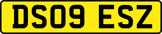 DS09ESZ