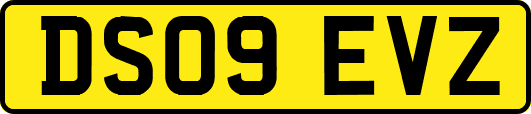 DS09EVZ