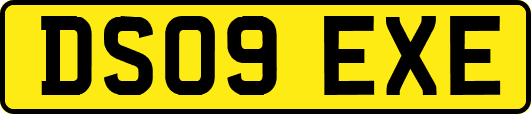 DS09EXE