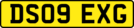 DS09EXG