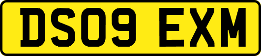 DS09EXM