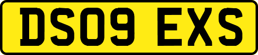 DS09EXS