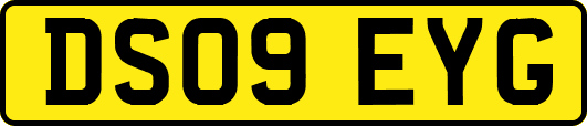 DS09EYG