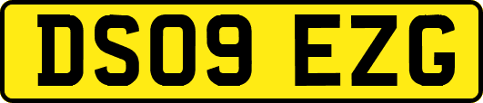 DS09EZG