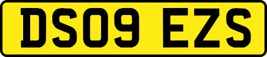 DS09EZS