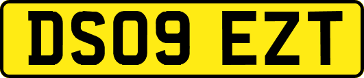 DS09EZT