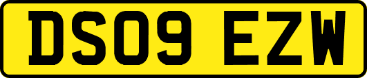 DS09EZW