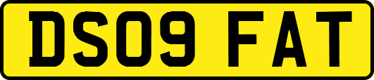 DS09FAT