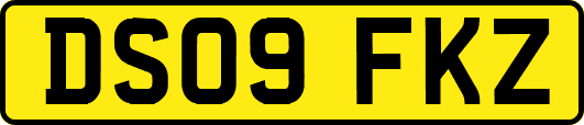 DS09FKZ