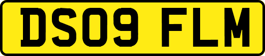 DS09FLM