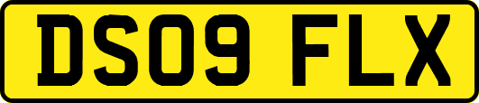 DS09FLX
