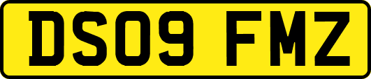 DS09FMZ