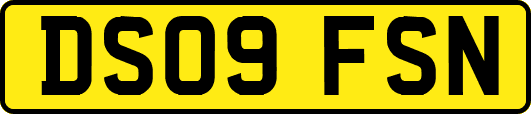 DS09FSN