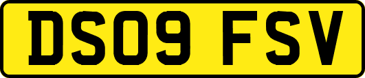 DS09FSV