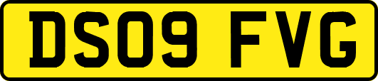DS09FVG