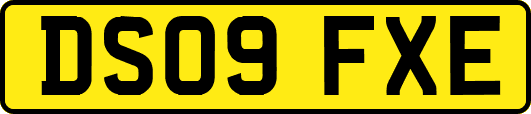 DS09FXE