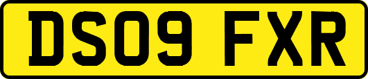 DS09FXR