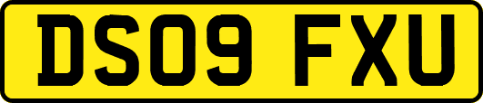 DS09FXU
