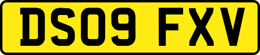 DS09FXV
