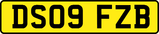 DS09FZB