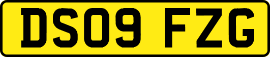 DS09FZG