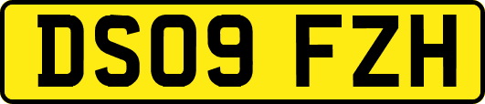 DS09FZH