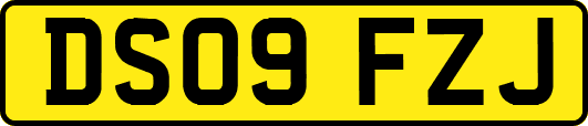 DS09FZJ