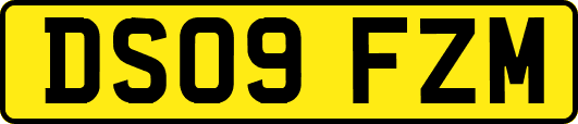 DS09FZM