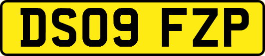 DS09FZP