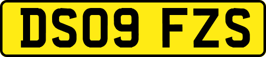 DS09FZS