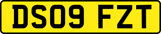 DS09FZT