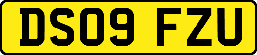 DS09FZU