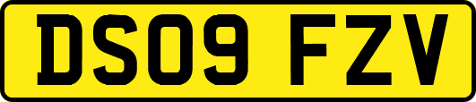 DS09FZV