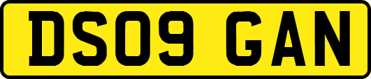 DS09GAN